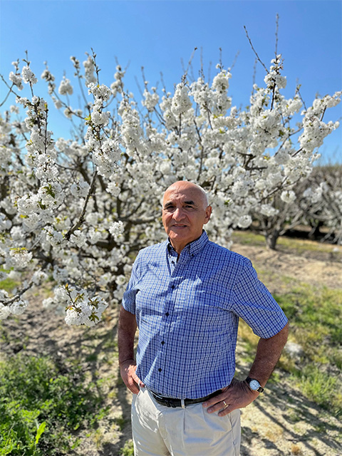 A man standing in front of trees in an orchard. The trees are full of white blossoms.