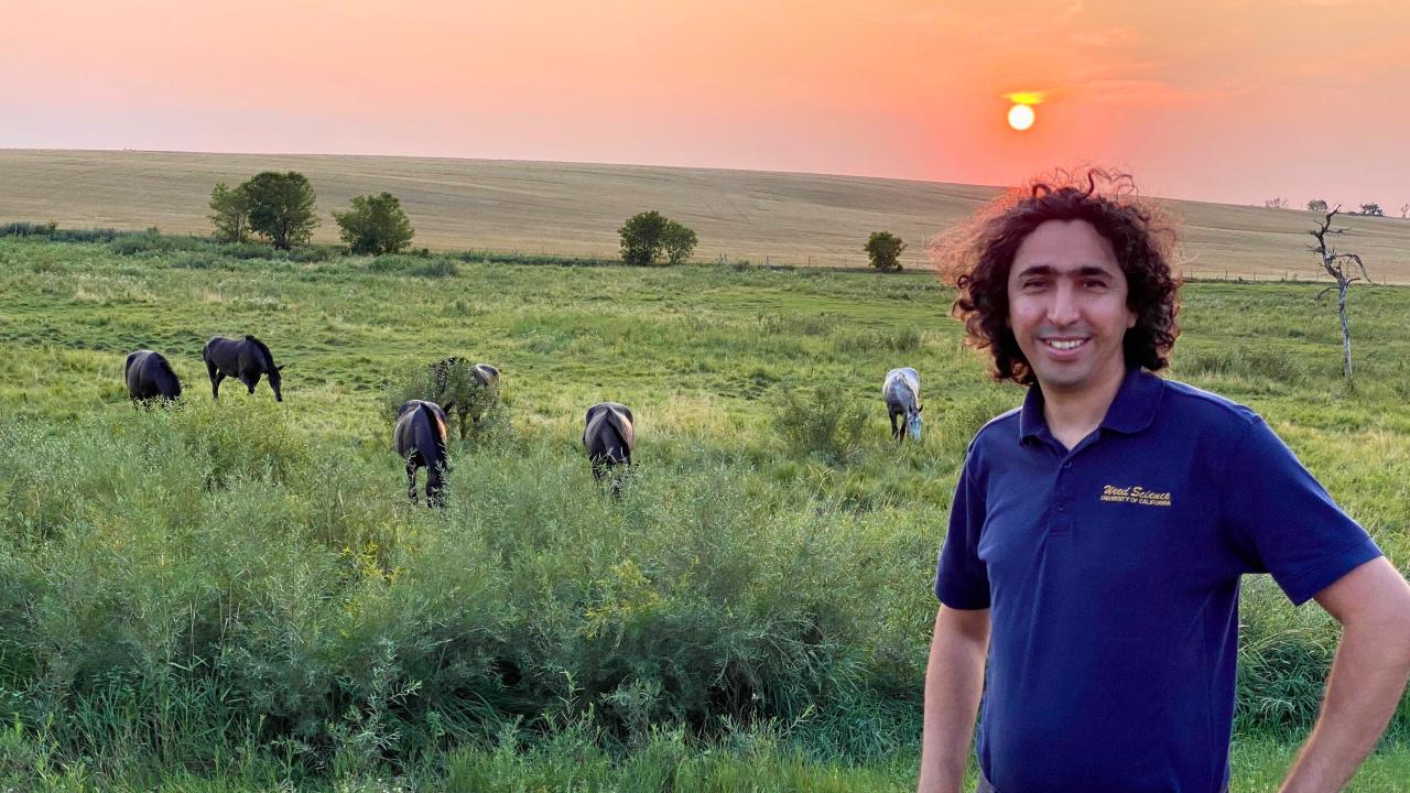 Mohsen Mesgaran stands in front of a green field with the sun setting in the background. The sunset is a beautiful orange. There are many horses grazing throughout the field. Mesgaran is posing and smiling for the picture. 