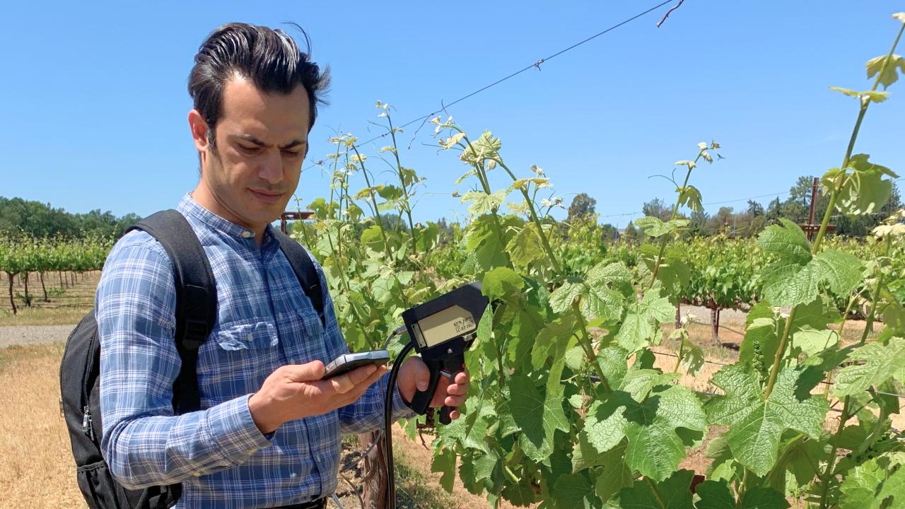 Pourreza using a device to monitor a field of crops.
