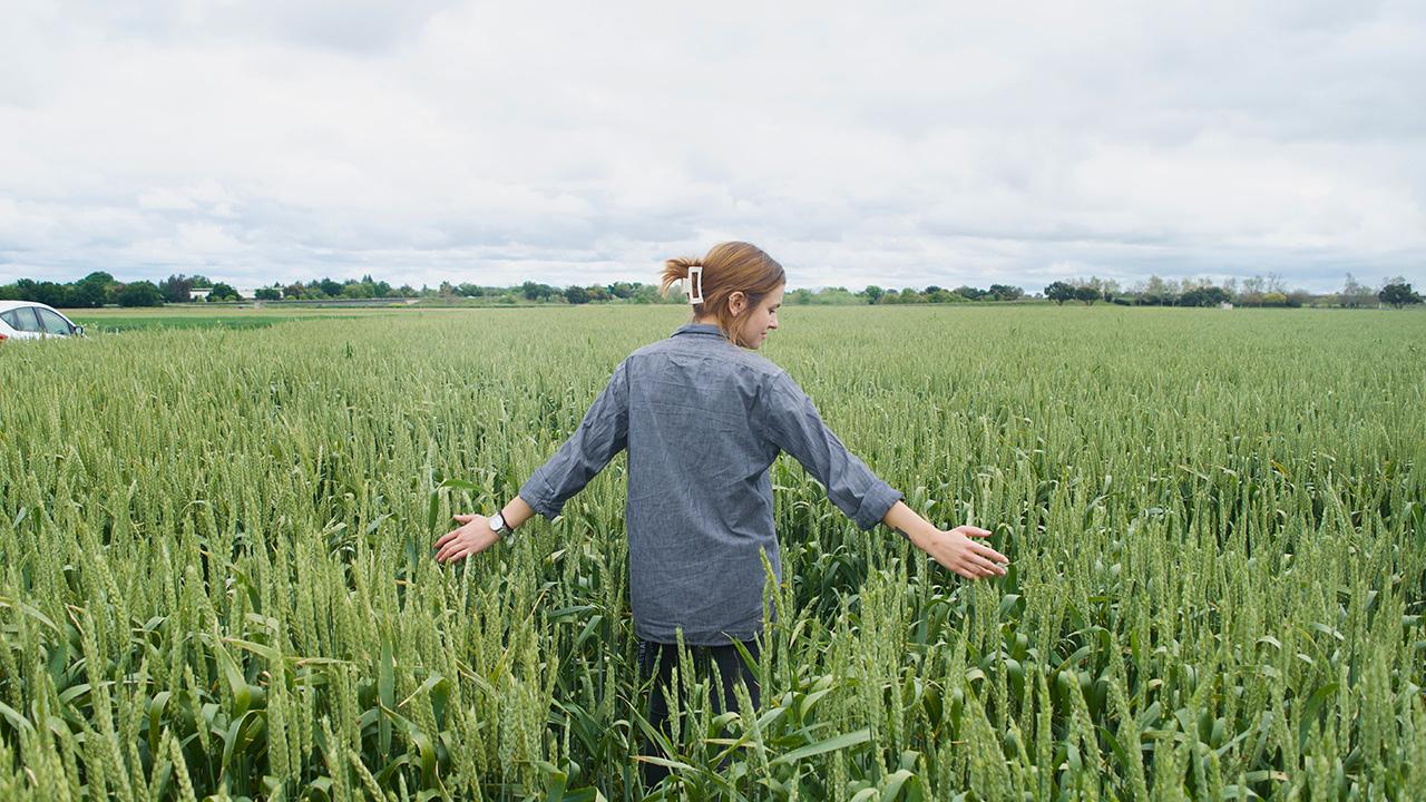 Woman standing in a field of tall green slender plants