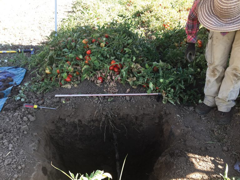 Viewing soil in the field