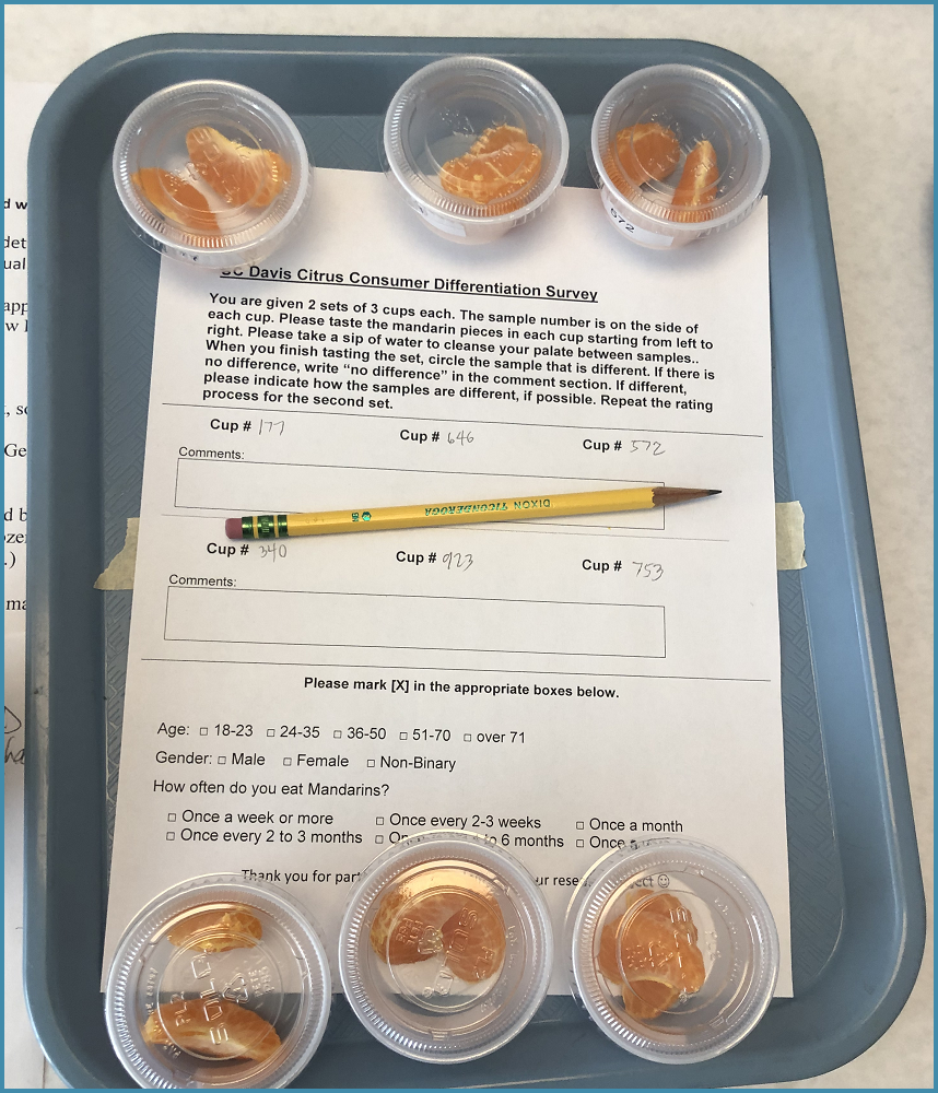 evaluation sheet
