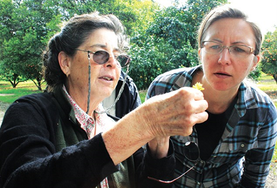 Mary Lu Arpaia, Katherine Jarvis-Shean