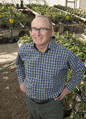 Steve Knapp, UC Davis.