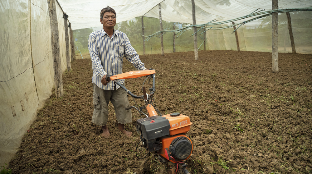Many Cambodian farmers have started to grow their vegetables inside nethouses where the plants can be physically protected from pests and damaging torrential rain. Horticulture Innovation Lab researchers first proposed nets for pest management in Cambodia based on experience in Kenya where the nets were low to the ground, but farmers here wanted to be able to work inside. (Max Fannin for UC Davis)