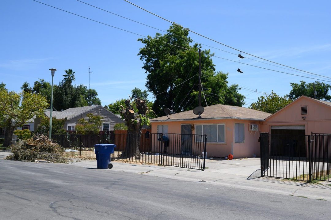 A tree’s limbs are removed from a yard it once shaded in South Sacramento. (Gregory Urquiaga/UC Davis)