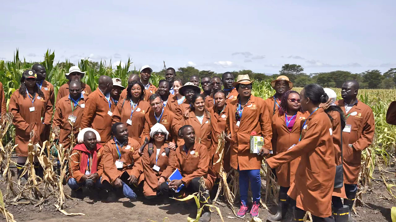Plant breeding students in Africa