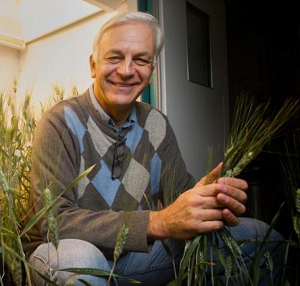 Jorge Dubcovsky, UC Davis