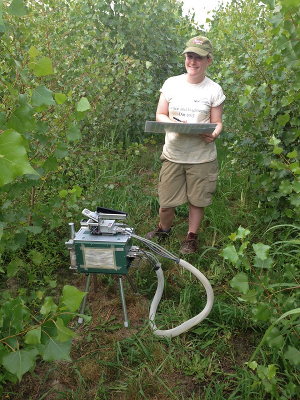 Intraspecific variation in functional traits in bioenergy poplar, including photosynthesis, being measured at a site in Italy.