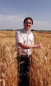 UC Davis researcher Nestor Kippes has discovered a fourth gene that controls response to cold winters in wheat.