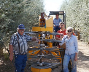 Mechanical harvesting of olives. From left, John Miles, Burt Vanucci (on harvester), Sergio Castro Garcia, and Louise Ferguson.