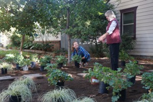 Stacey Parker (left), GATEways horticulturist, plants her front yard with advice from Ellen Zagory, director of public horticulture at UC Davis. Parker started the process of removing her front yard last spring and began planting with low-water plants for shade last fall. (photo: Katie Hetrick/UC Davis)