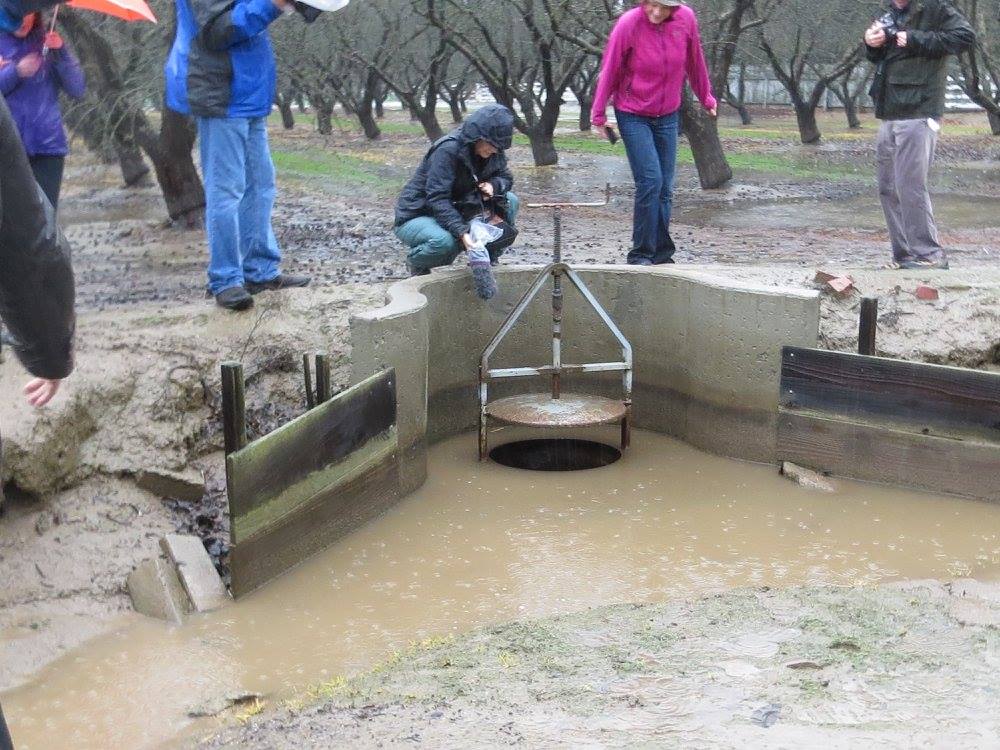 Water from the nearby canal is pumped up and released into the almond orchard. (photo: Ann Filmer, UC Davis)