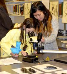 Students examine the structure of a flower at the Center for Plant Diversity.
