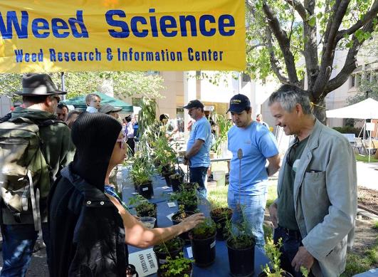 Guy Kyser, far right, speaks to an attendee at Picnic Day. (photo: Cody Kitaura/UC Davis)