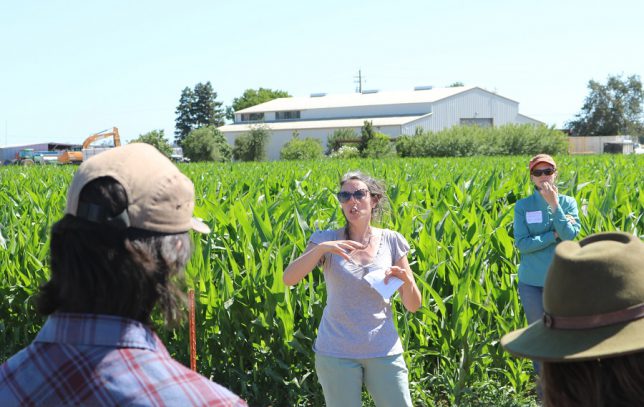 Professor Amelie Gaudin (center), UC Davis Plant Sciences, explaining the impact of irrigation systems on tomato roots. (photo: Ann Filmer/UC Davis)