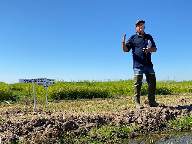 Man in a field that is brown and stubbly in the foreground, with green, grassy plants behind him.