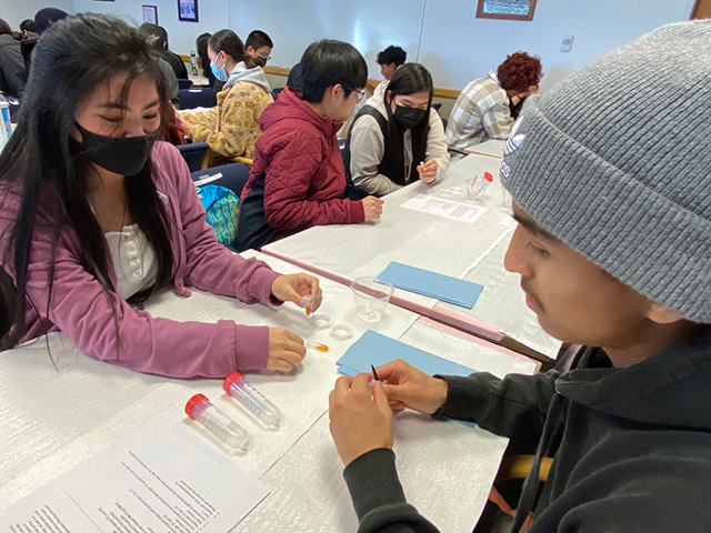 Students handling plastic test tubes