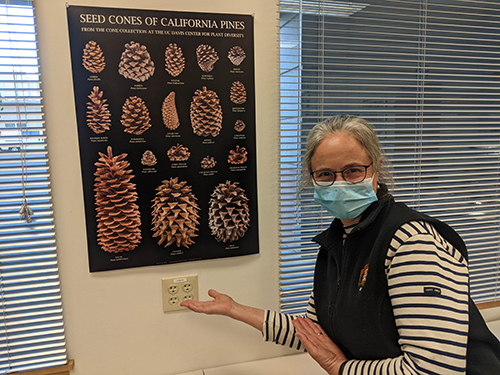 Alison Colwell, with the Pine Cone Poster
