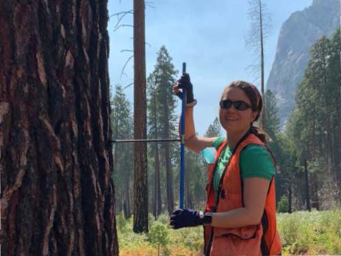 Woman standing next to tall tree with a drill in her hand.