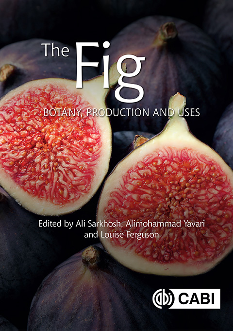 Book cover showing an enlarged photo of fig, cut i half and reealing the reddish-pink fruit.