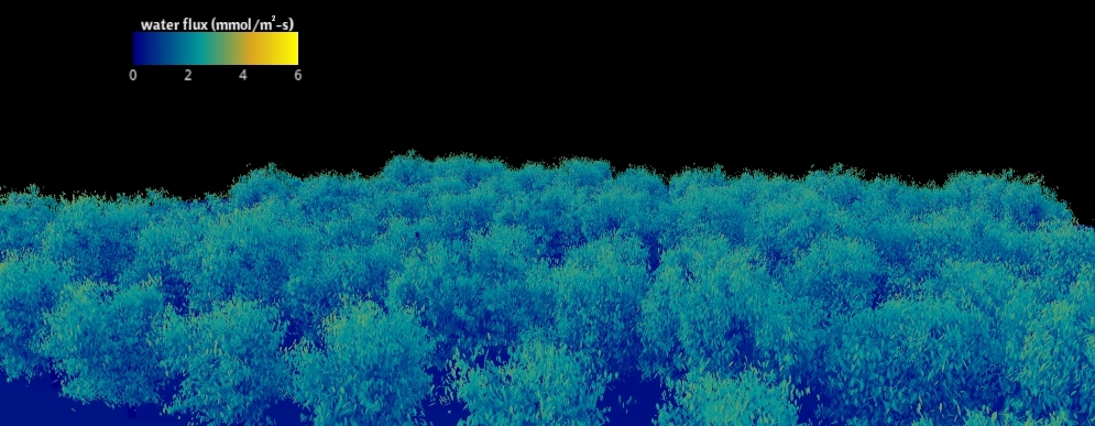 A graphical representation of the top of almond trees. A void of black serves as the background and a spectrum of colors is seen in the top left.