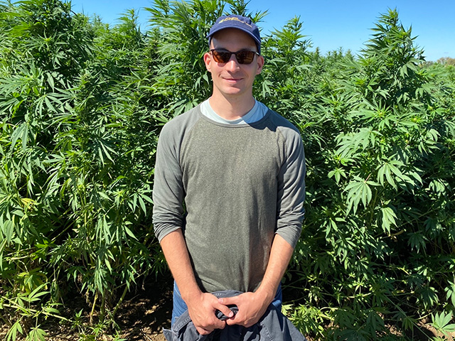 Man standing in front of hemp plants in a field