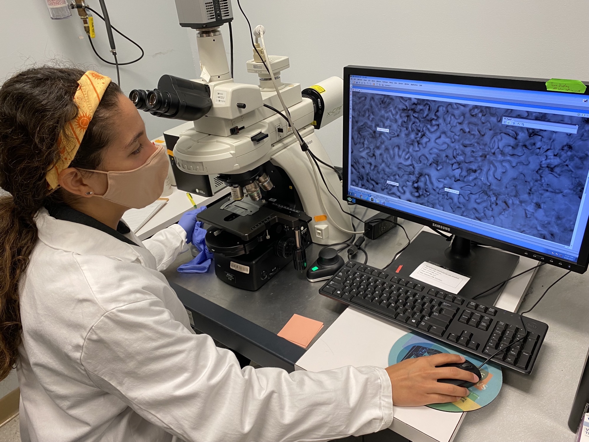 Young woman sitting in front of a microscope & computer screen