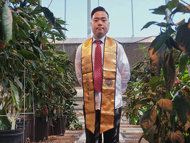 A young man wears a gold stole and stands among green plants in a greenhouse
