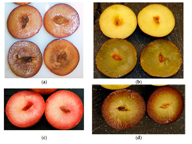 Four images of plums cut in half, most showing the insides to be kind of icky