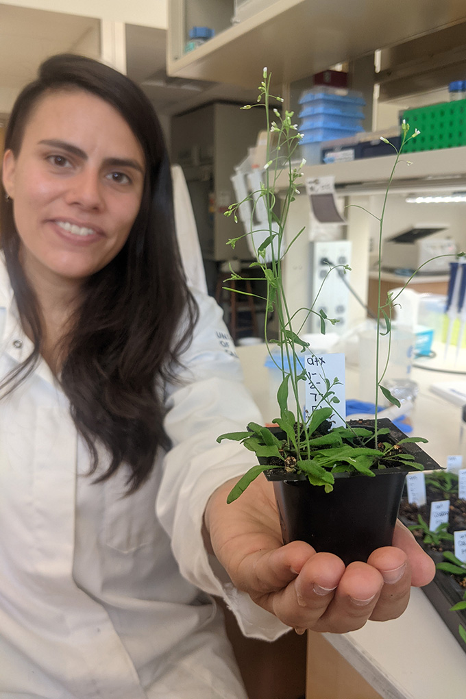 Woman in a white lab coat, holding a small, green, weedy plant in her hand