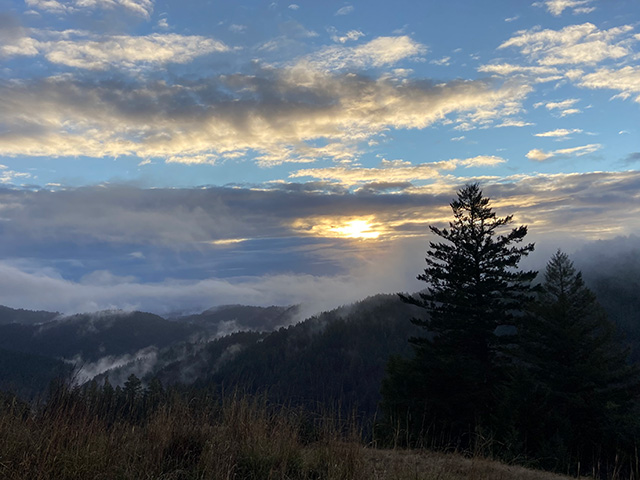 Sunrise breaking through clouds streaked in pink and grey over misty mountain ridges, with fog curling up between evergreen trees. UC Davis Department of Plant Sciences