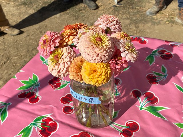 a coiorful pink tablecloth, A glass vase holding flowers. Colors are pastel pink and yellow