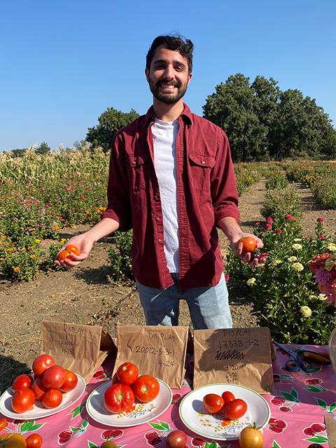 A young man holds red tomatoes in his hands; more tomatoes are on the table in front of him. He is in a field.