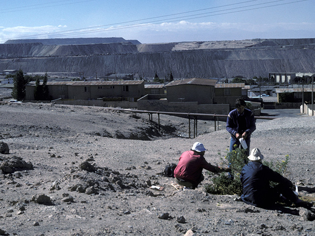 In the foreground of a very dry mountain scene, three men crouch around a low shrub. In the background, you can see a large pipe and mountains beyond