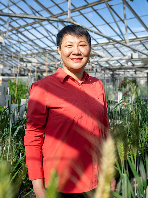 A woman standing in a greenhouse, blue sky above the latticed panes and green, spiky plants aroaund her.