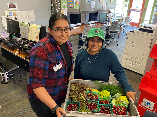 Two young women in an office hold a large crate of fresh produce