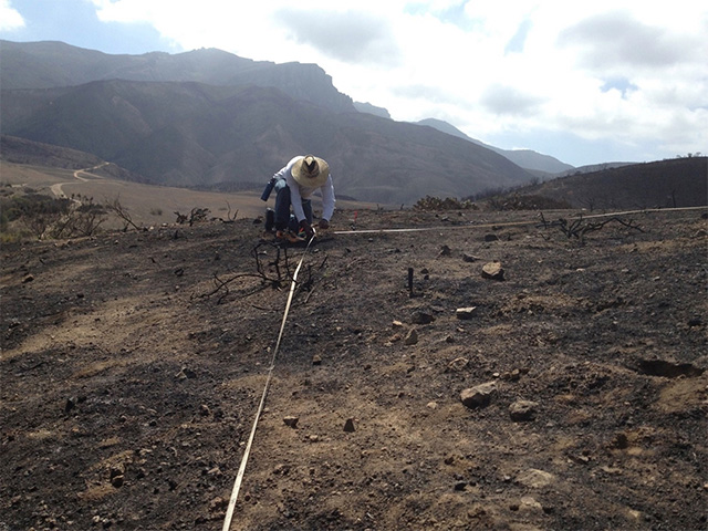 Man laying out lines on burned hilly area