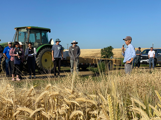 In the mid-range, people are standing outside by a tractor, listening to a man speak into a microphone. Golden heads of grain are in the foreground.