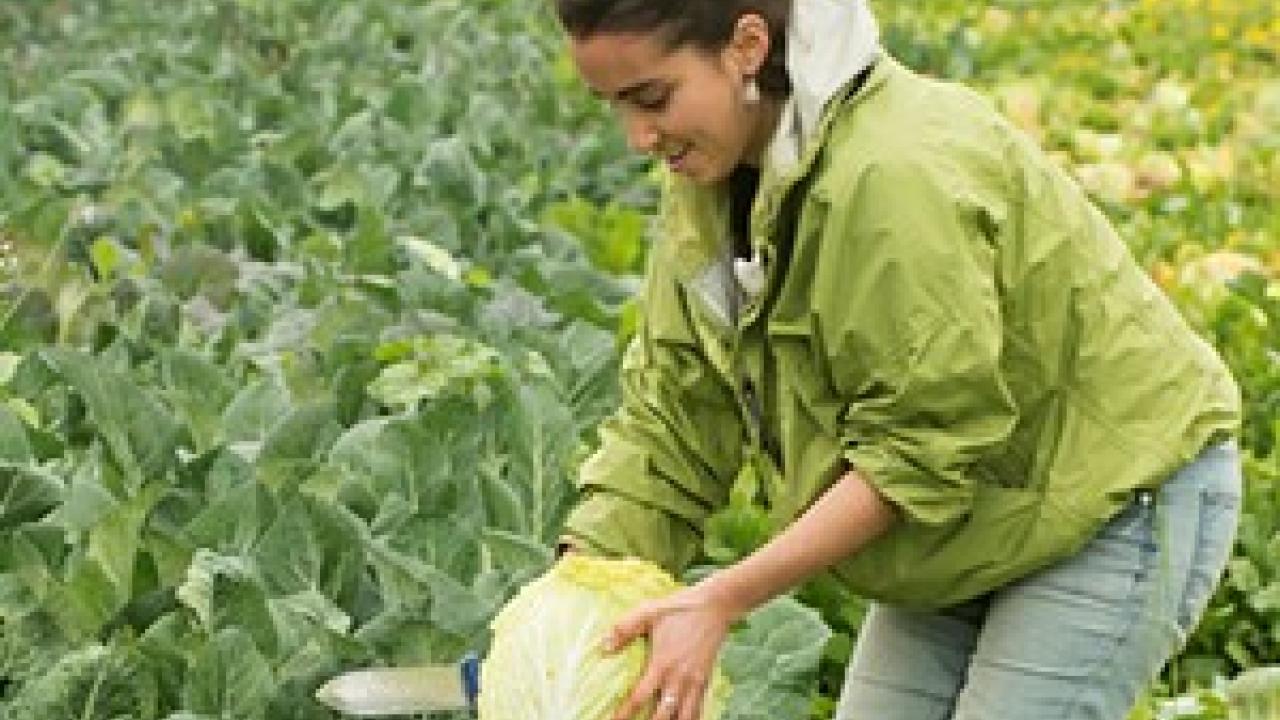 Department of Plant Sciences UC Davis Crops and