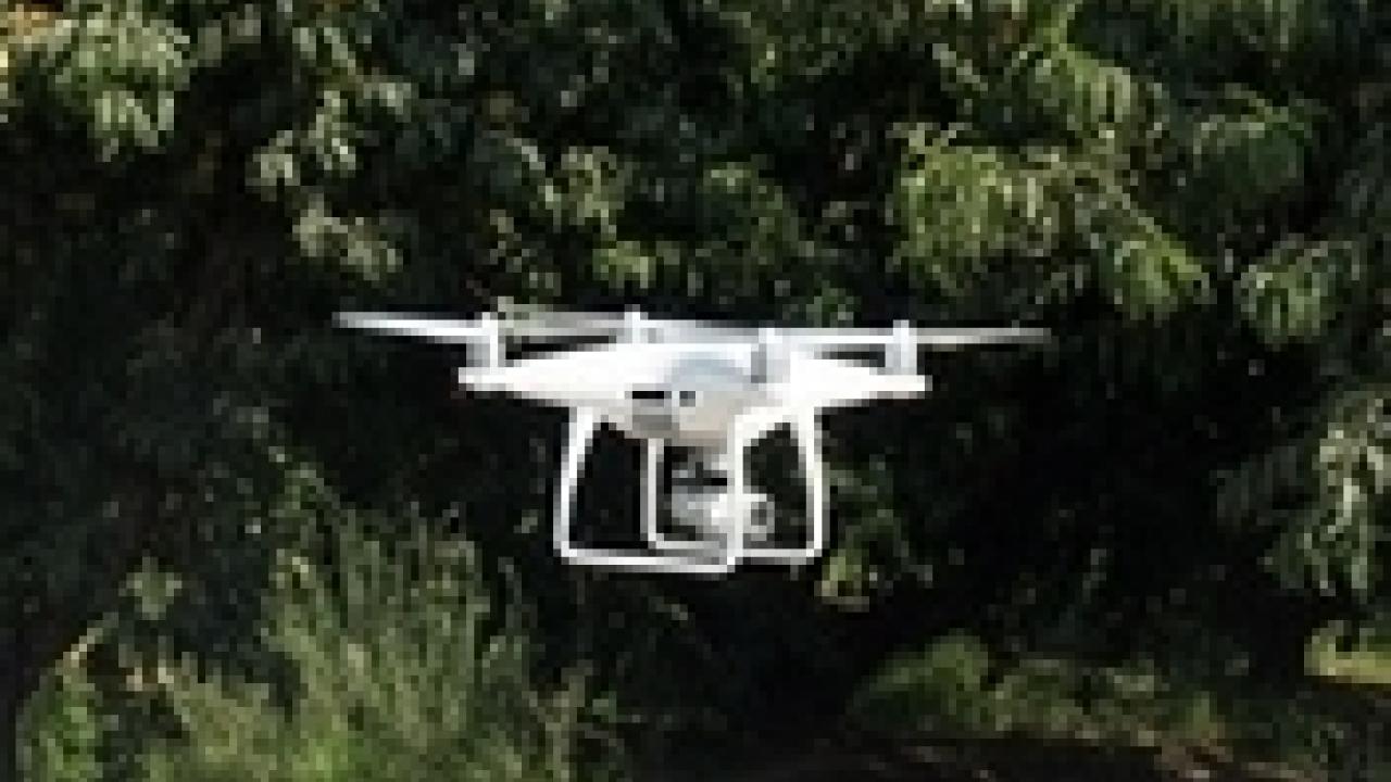 A drone flying in an orchard