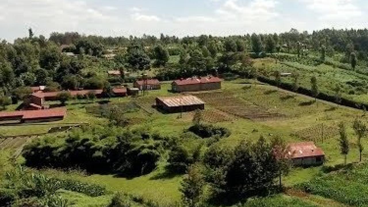 African farm