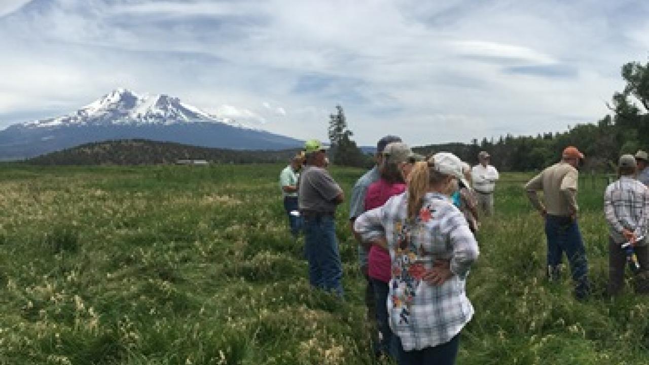 People in a mountain range next to a stream.
