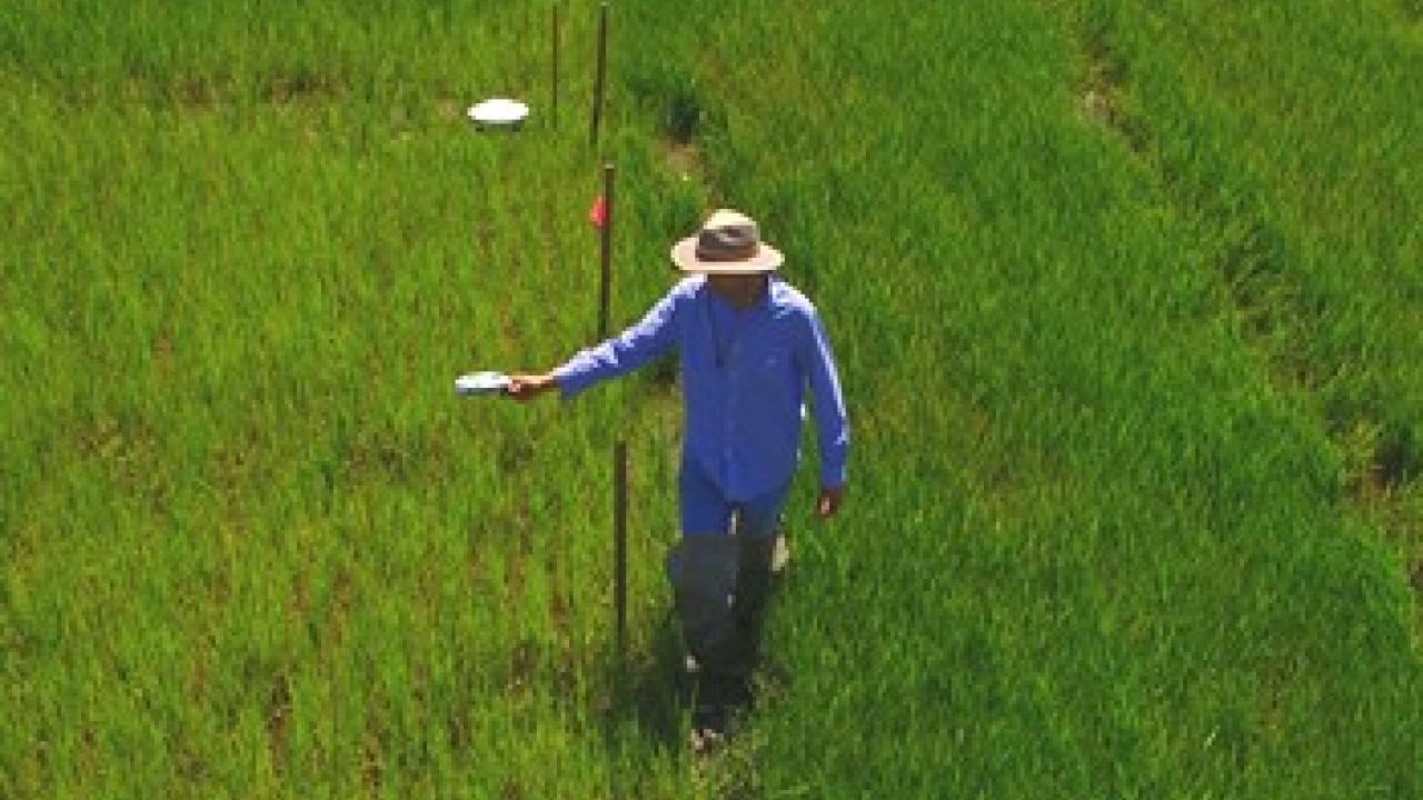 Researcher in field with handhel GreenSeeker