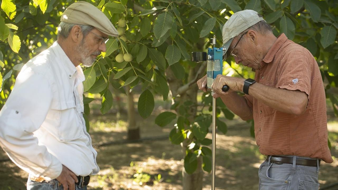 Ken Shackel and Bruce Lampinen, UC Davis