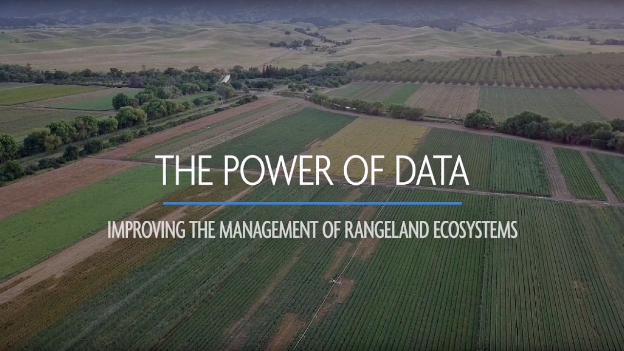 Improving the Management of Rangeland Ecosystems