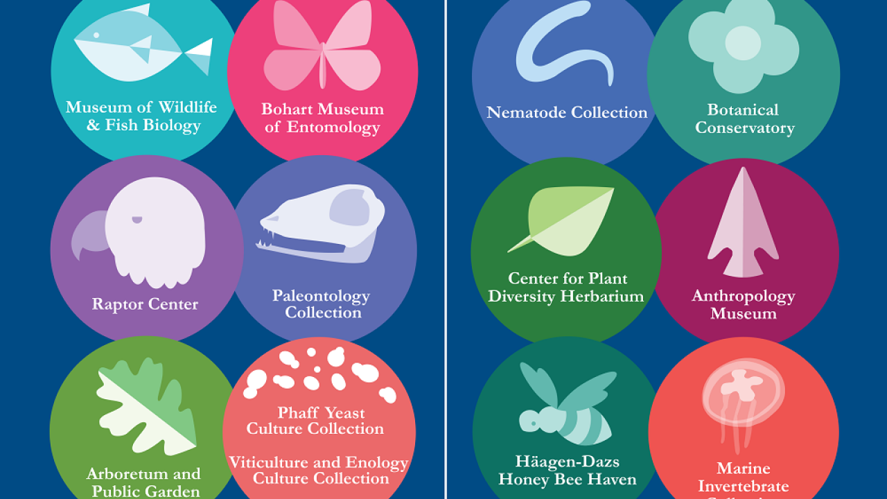 logos of sites to visit