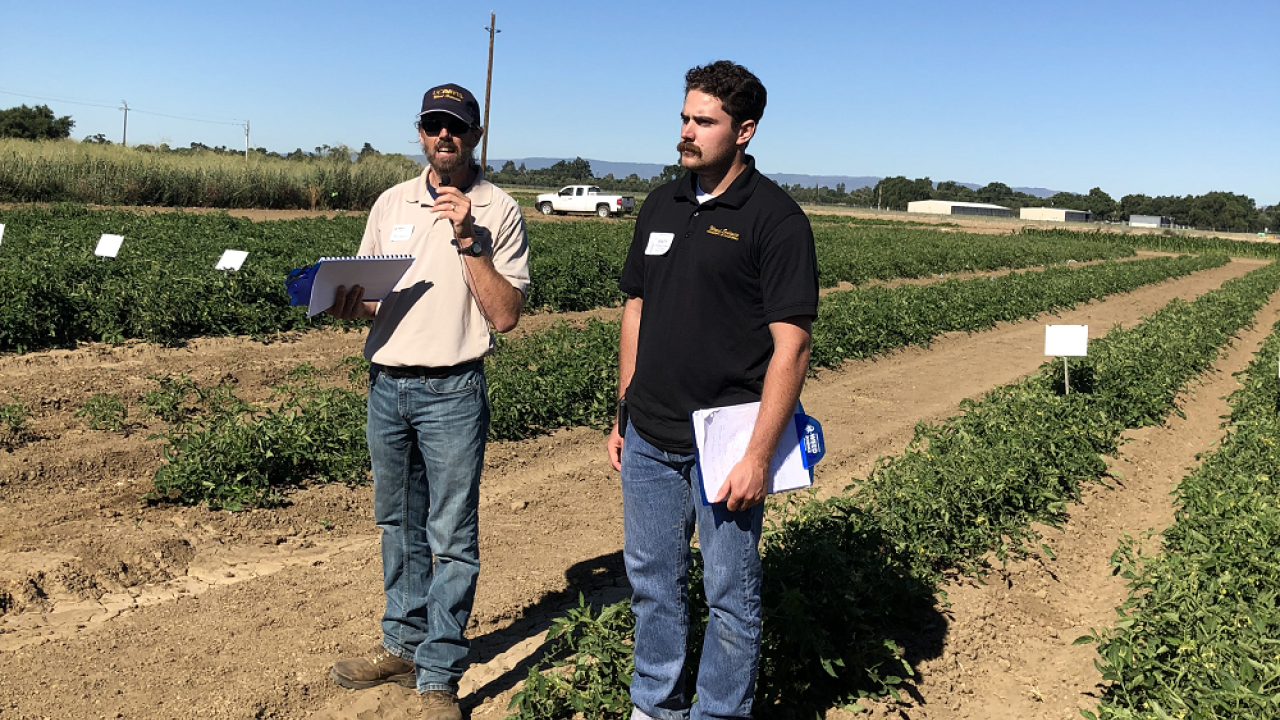 Brad Hanson and Matt Fatino, UC Davis Plant Sciences, address the concerns about branched broomrape (parasitic weed) potentially getting into tomato fields, and how it might be controlled. At Weed Day, 2019. (photo Ann Filmer/UC Davis) Brad Hanson, Matt Fatino, UC Davis