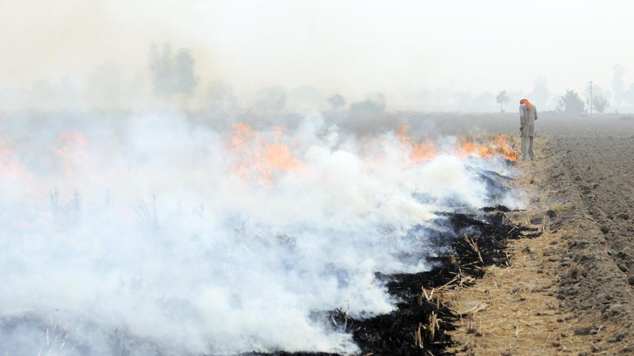 Burning of rice residues in SE Punjab, India, prior to the wheat season. (photo Neil Palmer/CIAT)