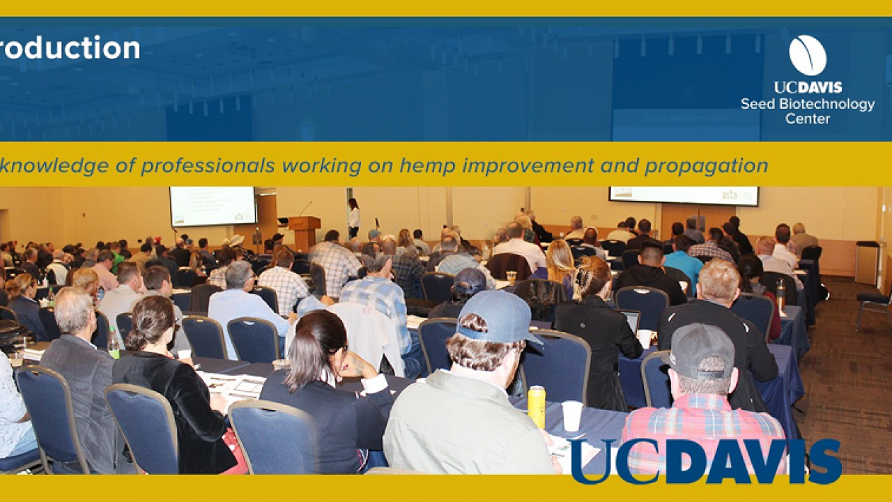 The Hemp Breeding and Seed Production course at UC Davis had 165 professional participants.